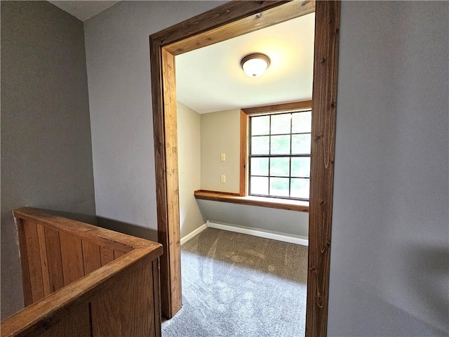 walk in closet with carpet flooring