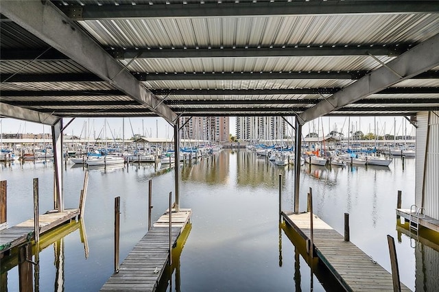 dock area with a water view