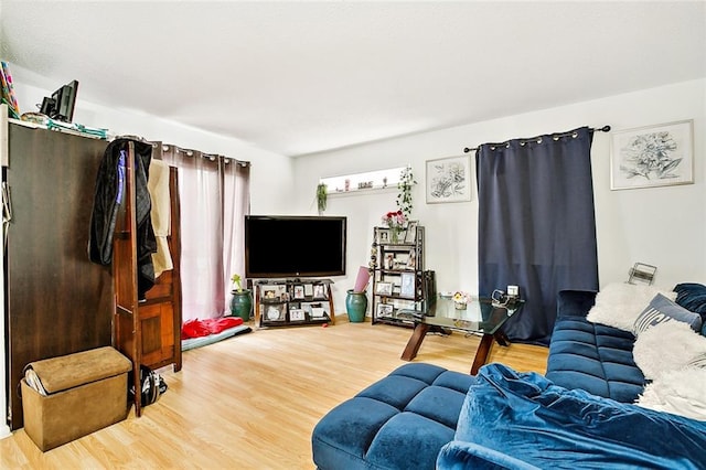 living room featuring hardwood / wood-style floors