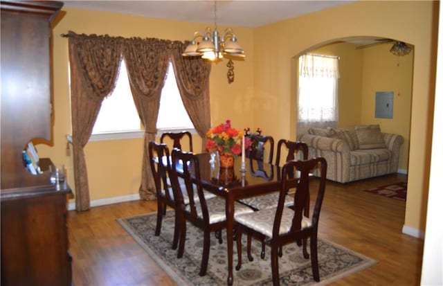 dining space featuring a notable chandelier, a wealth of natural light, and dark wood-type flooring