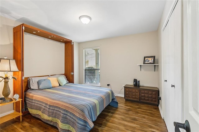 bedroom with a closet and dark wood-type flooring