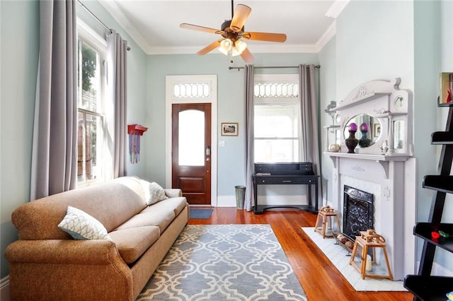 living room with hardwood / wood-style floors, ceiling fan, and ornamental molding