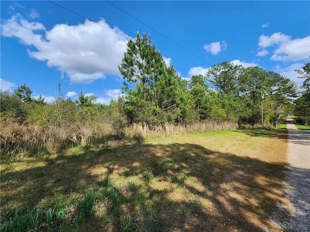 Listing photo 2 for Byron Dillon Rd, Franklinton LA 70438