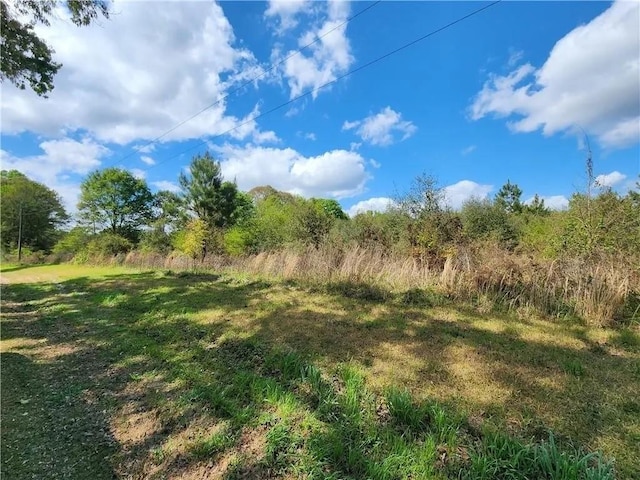 Listing photo 3 for Byron Dillon Rd, Franklinton LA 70438