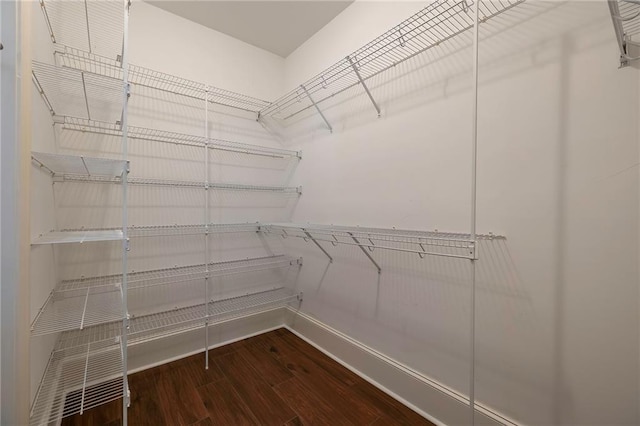 walk in closet with dark wood-style flooring