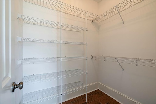 walk in closet featuring dark wood finished floors