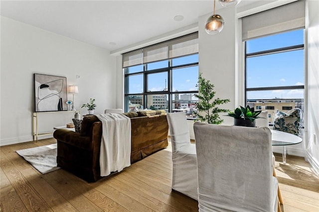 living room featuring hardwood / wood-style flooring and floor to ceiling windows