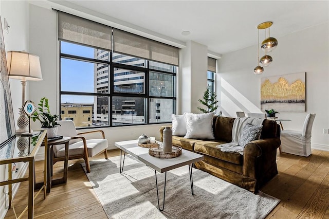 living room featuring hardwood / wood-style flooring and a wealth of natural light