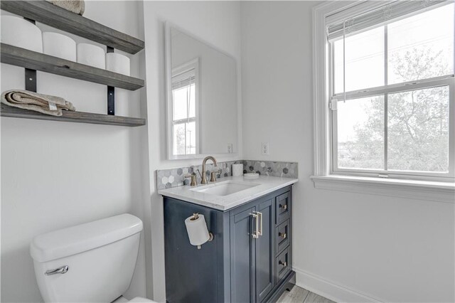 bathroom featuring vanity with extensive cabinet space and toilet