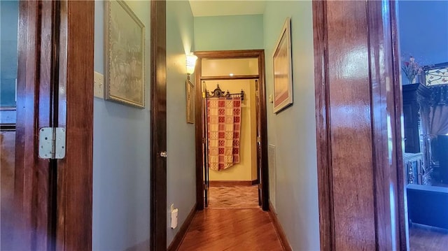 corridor with dark wood-type flooring