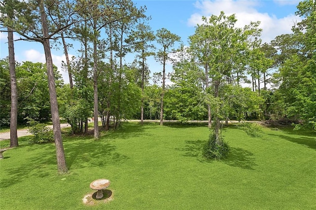 view of property's community featuring a lawn