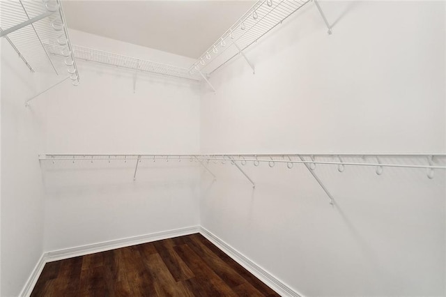 walk in closet with dark hardwood / wood-style floors