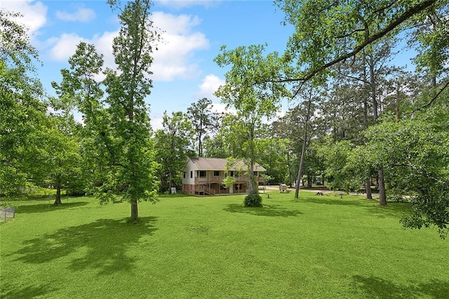 view of yard with a deck