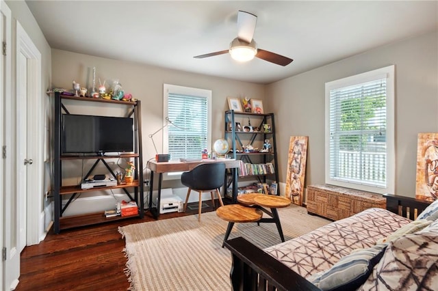 office featuring dark hardwood / wood-style floors and ceiling fan