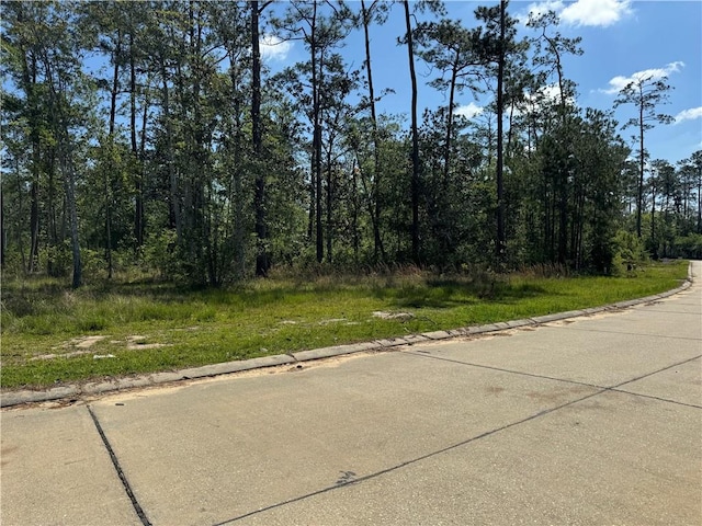 447 Arbor View Dr, Slidell LA, 70461 land for sale