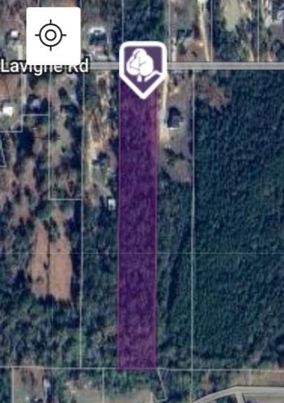 24458 Harvey Lavigne Rd, Ponchatoula LA, 70454 land for sale