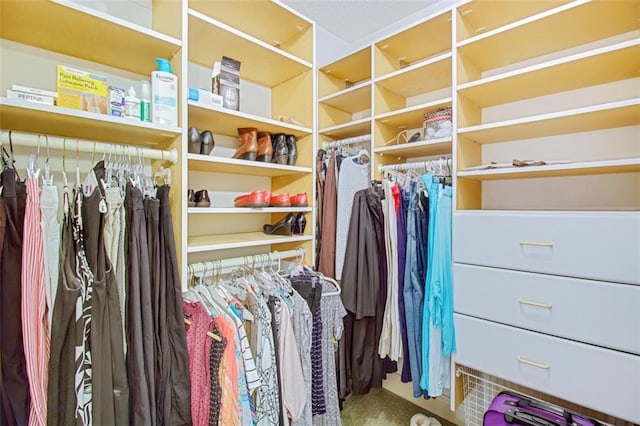 spacious closet featuring carpet flooring