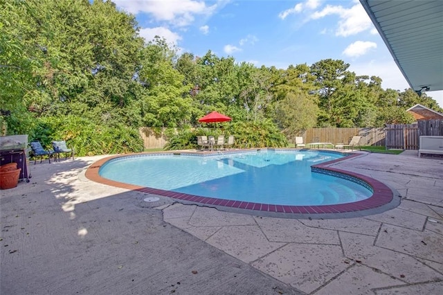 view of swimming pool with a patio