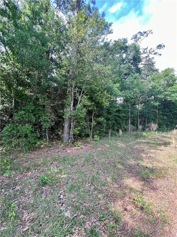 824 Pine Ridge Rd, Bogalusa LA, 70427 land for sale