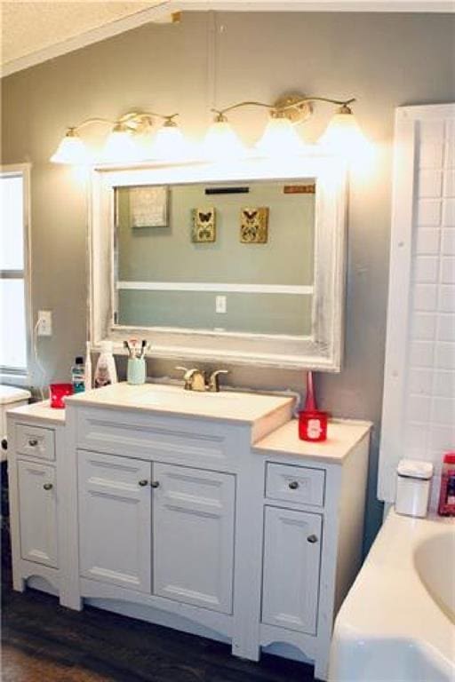 bathroom with wood-type flooring and vanity