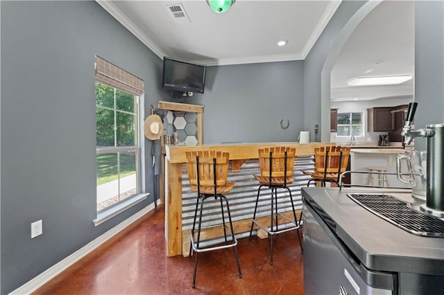 interior space with ornamental molding, a healthy amount of sunlight, and dark brown cabinetry