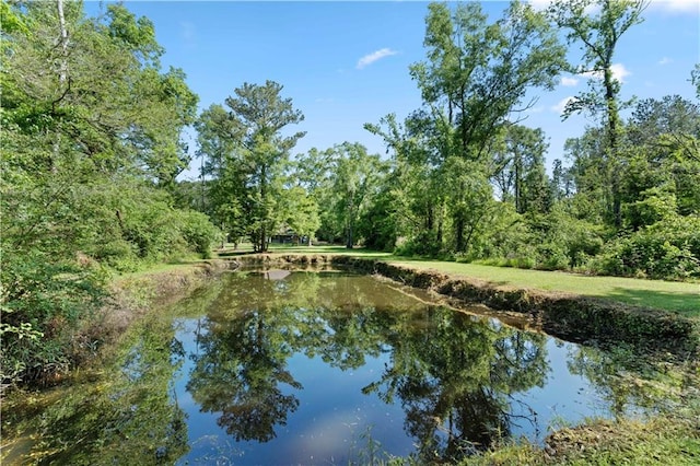 view of water view