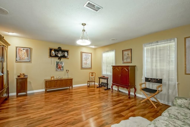 living area featuring wood-type flooring