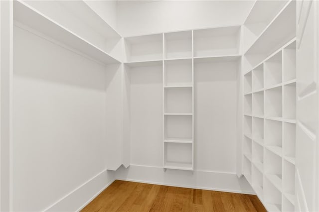 walk in closet featuring wood-type flooring