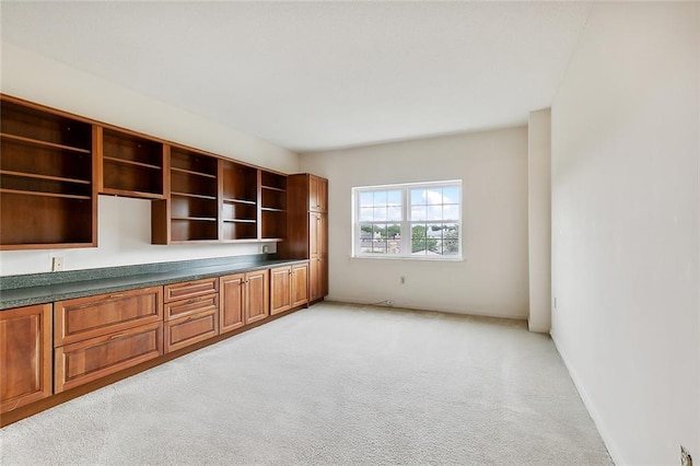 unfurnished office featuring light carpet