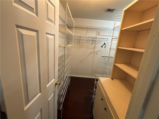 view of walk in closet