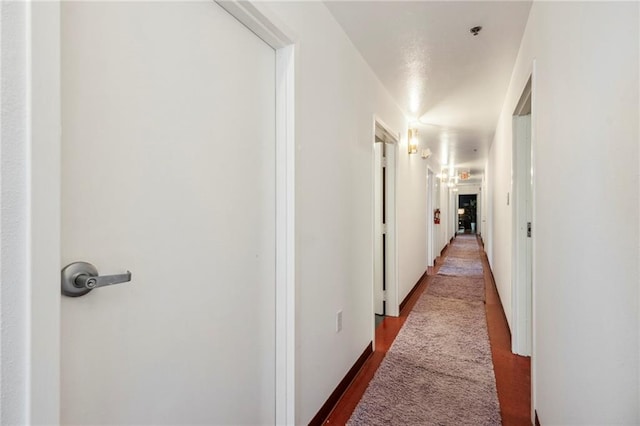 hallway featuring hardwood / wood-style flooring