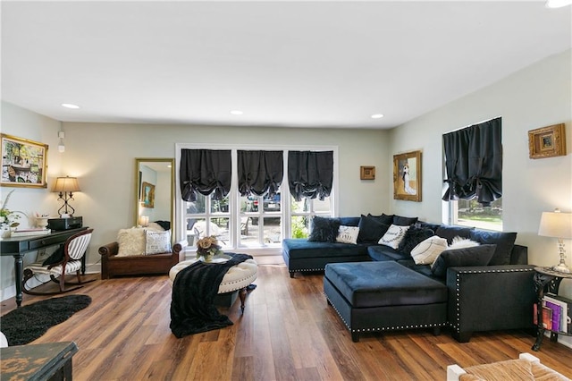 living room featuring wood-type flooring