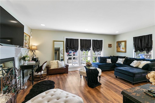 living room featuring hardwood / wood-style floors