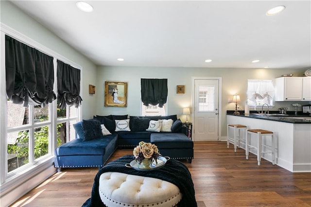 living room featuring hardwood / wood-style flooring