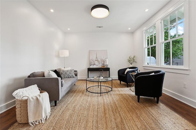 living room featuring wood-type flooring