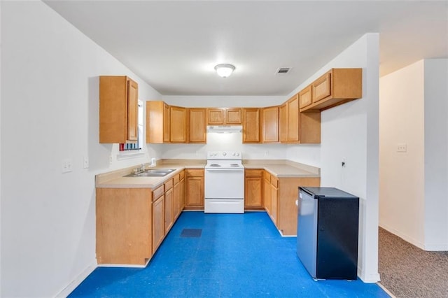 kitchen featuring electric range, sink, and refrigerator