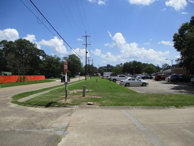 Listing photo 3 for Main St, Franklinton LA 70438