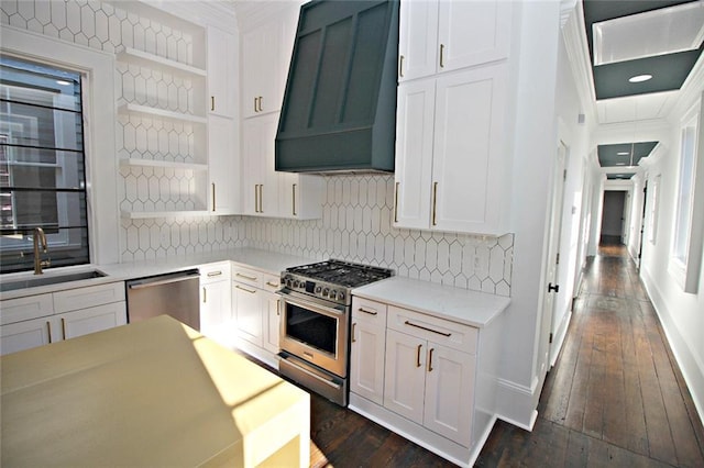 kitchen with sink, tasteful backsplash, dark hardwood / wood-style flooring, stainless steel appliances, and premium range hood