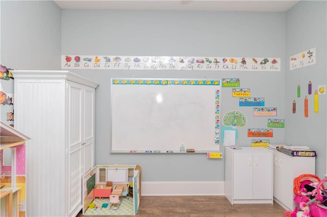 playroom featuring hardwood / wood-style flooring