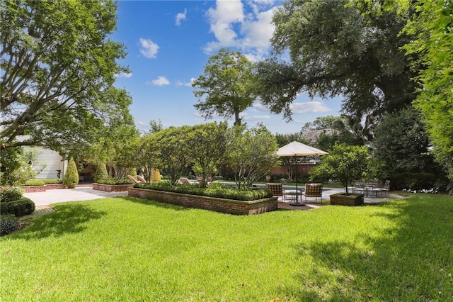 view of yard with a patio area