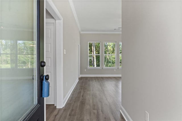 interior space featuring wood-type flooring and crown molding