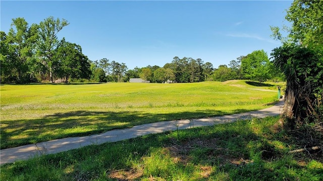 surrounding community featuring a yard