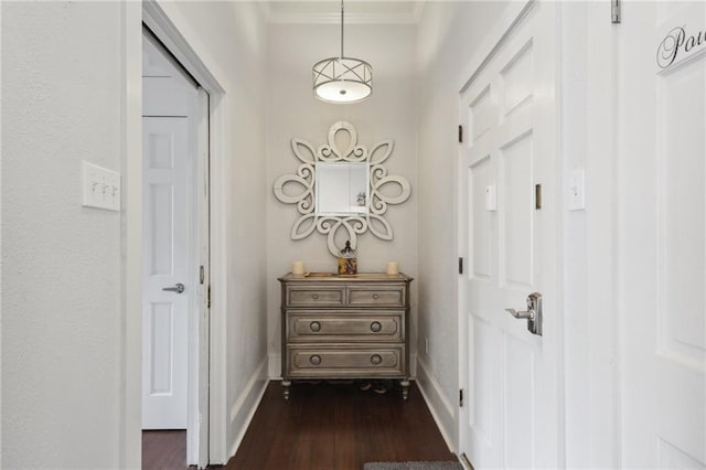 hall featuring ornamental molding and dark wood-type flooring