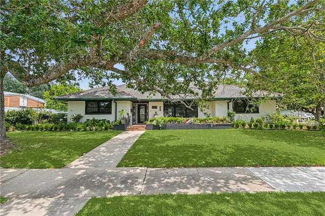 ranch-style home featuring a front yard