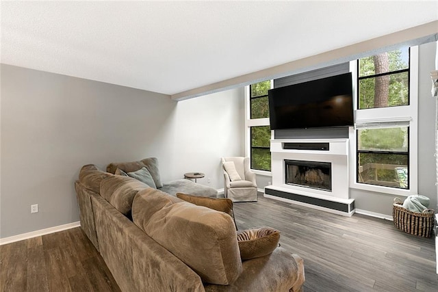 living room with hardwood / wood-style flooring and a healthy amount of sunlight