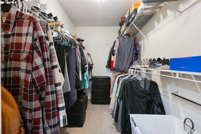 spacious closet with light colored carpet