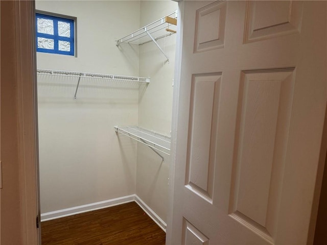 walk in closet with dark wood-type flooring