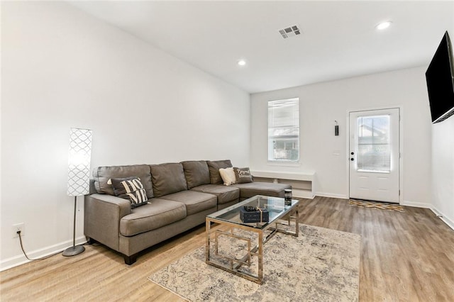 living room featuring hardwood / wood-style flooring