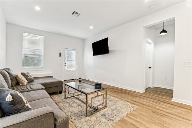 living room featuring wood-type flooring