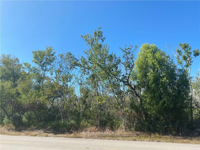 Privateer Blvd, Barataria LA, 70036 land for sale